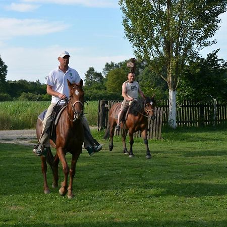 Rural Tourism Family Ravlic Pensionat Muzilovcica Exteriör bild