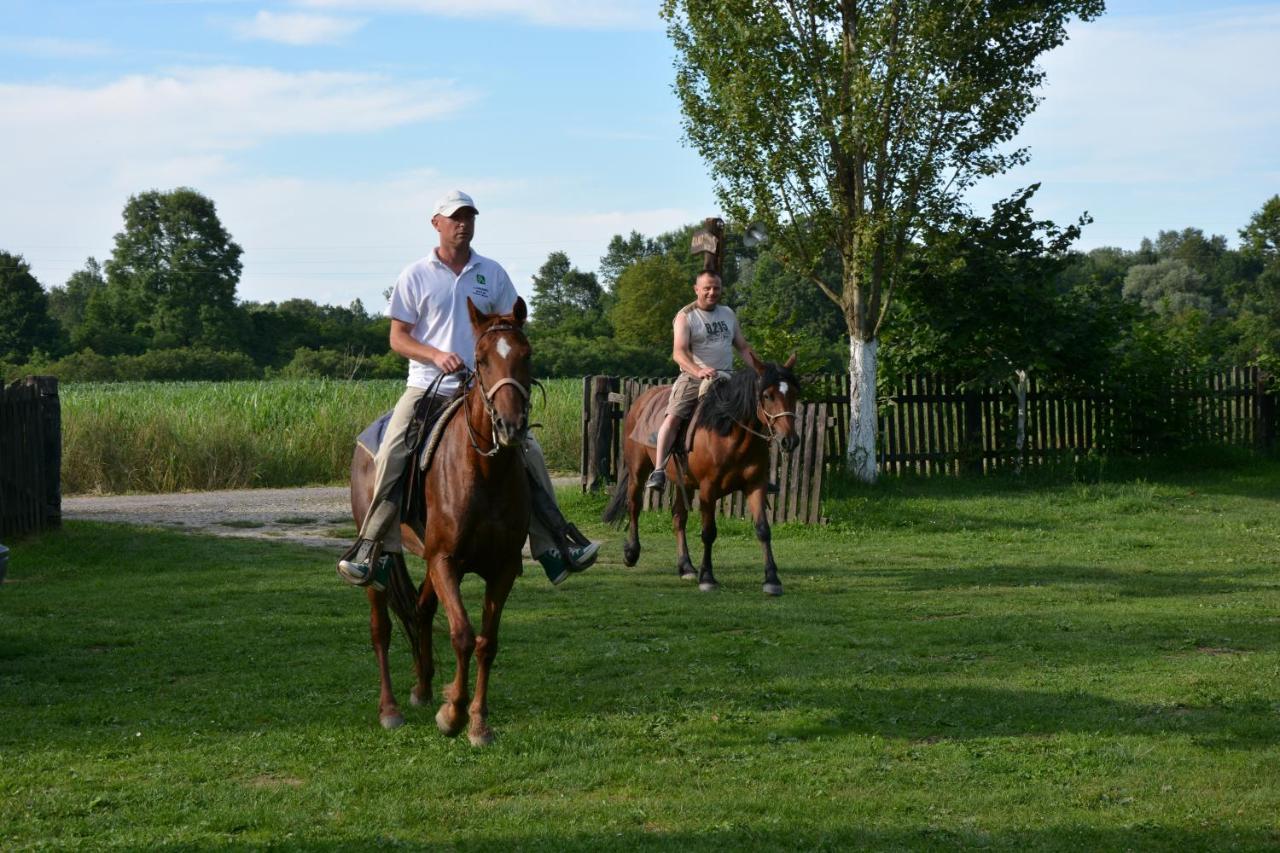 Rural Tourism Family Ravlic Pensionat Muzilovcica Exteriör bild