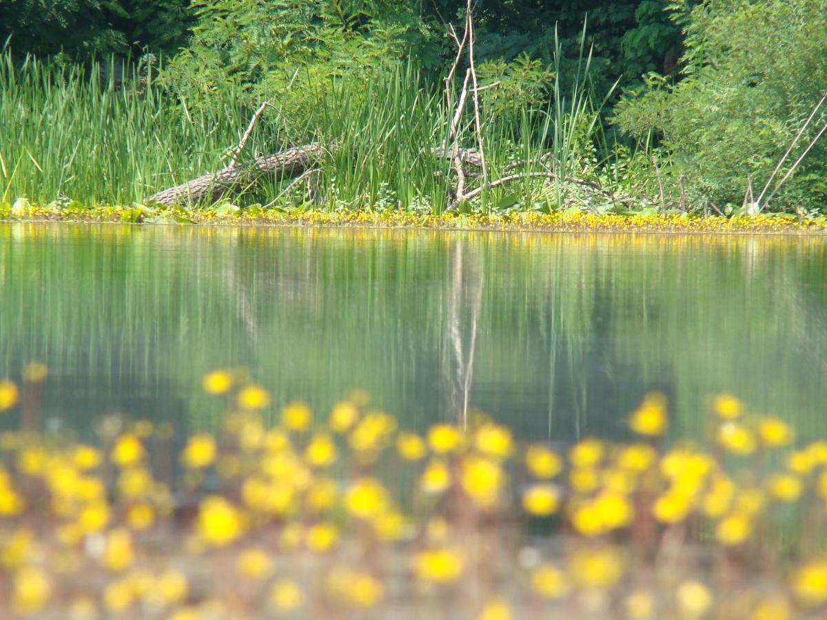 Rural Tourism Family Ravlic Pensionat Muzilovcica Exteriör bild