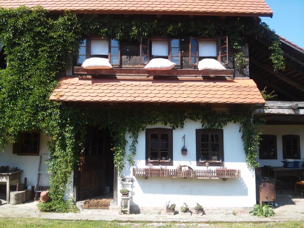Rural Tourism Family Ravlic Pensionat Muzilovcica Exteriör bild